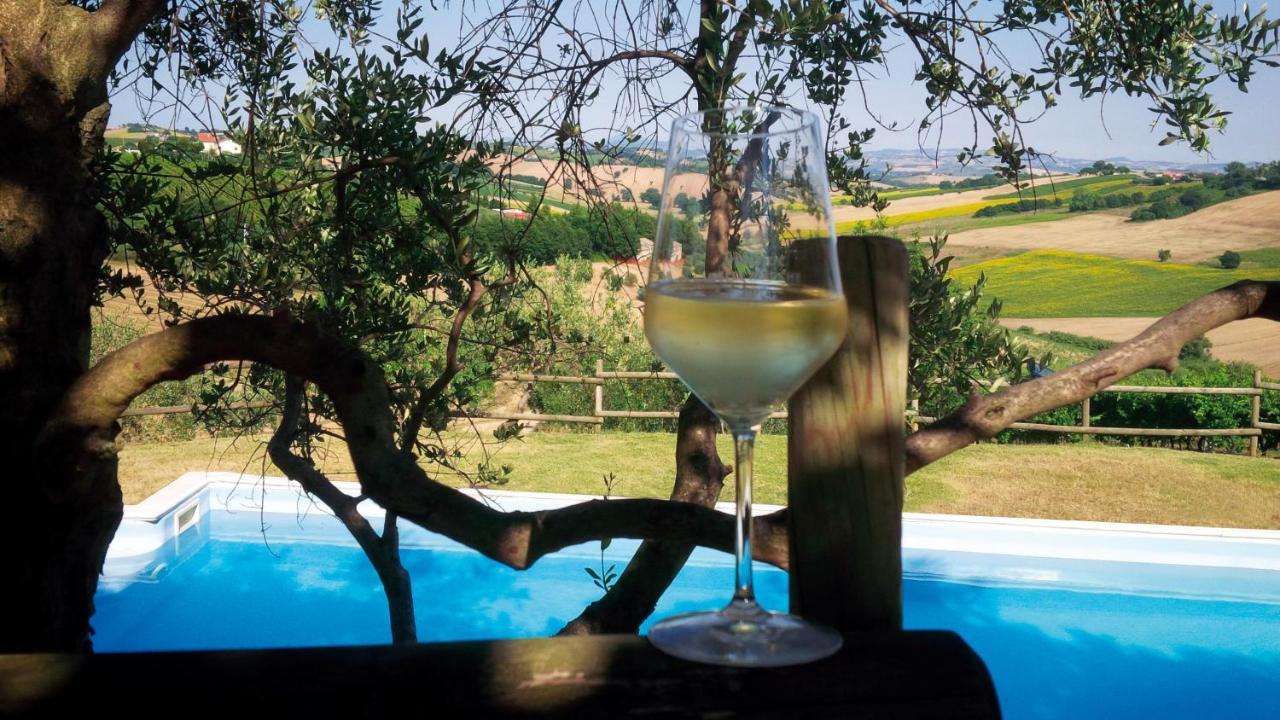 Villa Sant'Elena Morro dʼAlba Exteriér fotografie